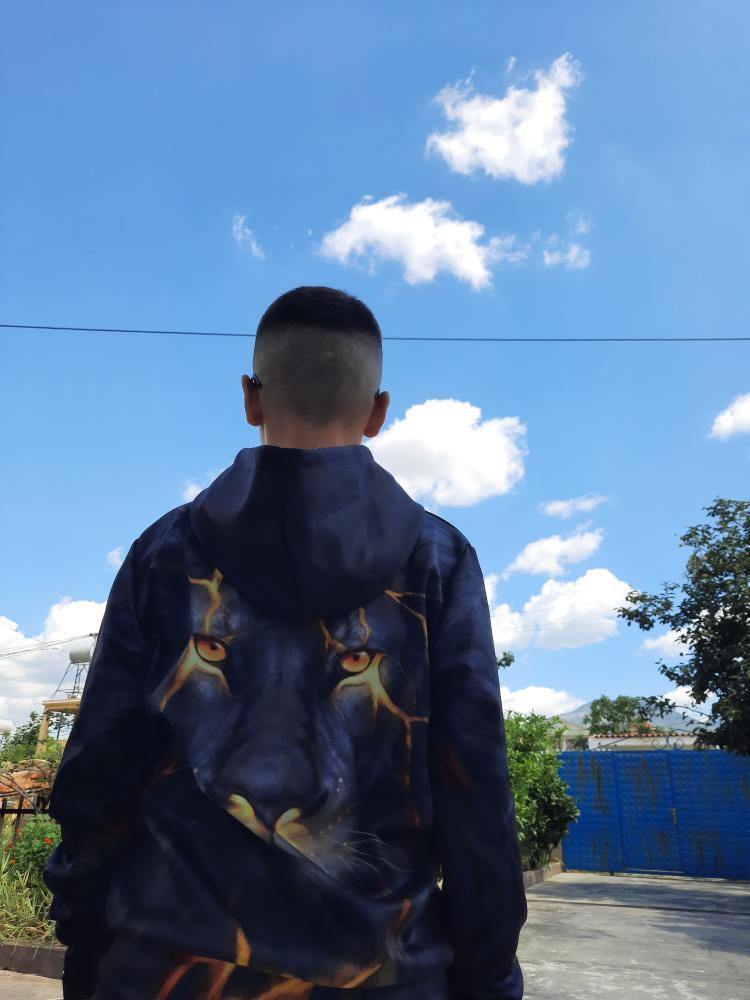 Animal 3D Printed Hoodies - Image 11